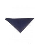 copy of