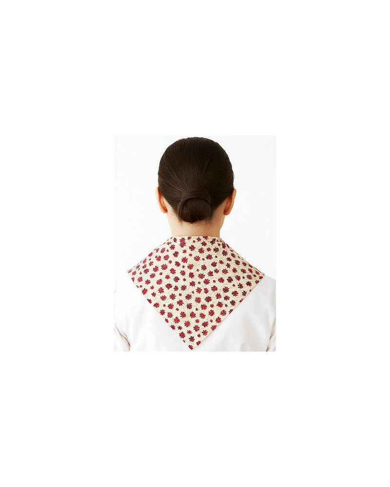 Pañuelo Casera Flores Granates - Pañuelos Trajes Tradicionales